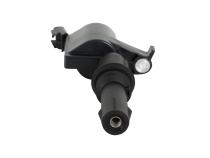 Direct Ignition Coil Kit Supercoil 2004-2008 Ford 4.6L/5.4L/6.8L 3-Valve- Black- 8-Pack Supercoil With Shorter Black Boot For 2004-2008 Ford Modular 3V 4.6L/ 5.4L / 6.8L V10 Engines ACCEL