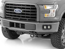 Ford LED Fog Light Kit Black Series w/ SAE LED Fog Light 15-19 F-150 Rough Country