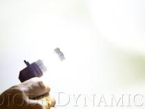 9006 XP80 LED Cool White Pair Diode Dynamics