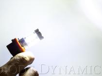 H11 XP80 LED Cool White Pair Diode Dynamics