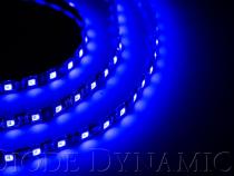 LED Strip Lights Blue 50cm Strip SMD30 WP Diode Dynamics