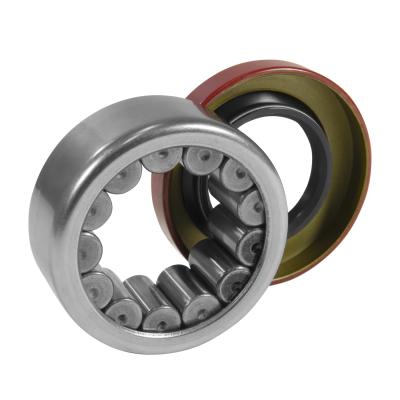 R1561Tv Rear Axle Bearing And Seal Kit Yukon Gear & Axle