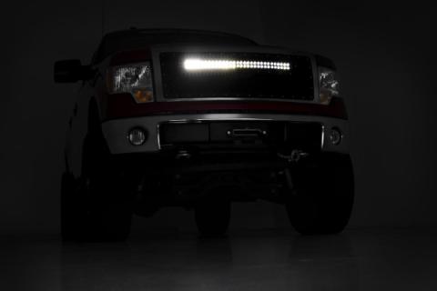 Ford Mesh Grille w/30 Inch Dual Row Black Series LED 09-14 F-150 Rough Country
