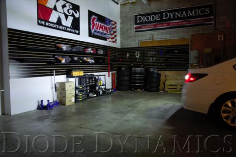 2015-2019 Subaru Legacy Tail as Turn +Backup Module (USDM) Stage 1 Diode Dynamics