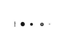 Suspension Shock Absorber Rear Monotube Mercedes-Benz 190D 1989-1984 190E 1993-1984 260E 1989-1987 300CE 1993-1988 300D 1987 300D 1993-1990 300E 1993-1986 400E 1993-1992 E300 1995 E320 1995-1994 E420 1995-1994 B6 Performance Bilstein