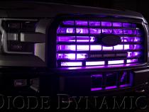 RGBW Grille Strip Kit 2pc Multicolor Diode Dynamics
