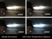 HID Bulb D2R 4300K Pair Diode Dynamics