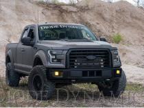 SS3 LED Fog Light Kit for 2015-2020 Ford F-150 White SAE Fog Pro w/ Backlight Diode Dynamics