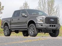 4 Inch Suspension Lift Kit Lifted Struts 15-20 F-150 4WD Rough Country