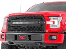 Ford Mesh Grille w/30 Inch Dual Row Black Series LED 15-17 F-150 Rough Country